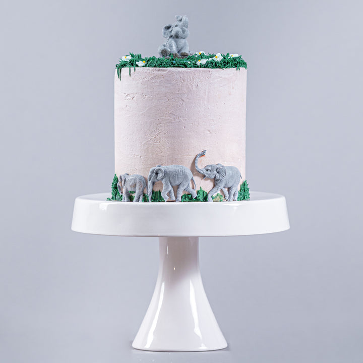 Elephant Family