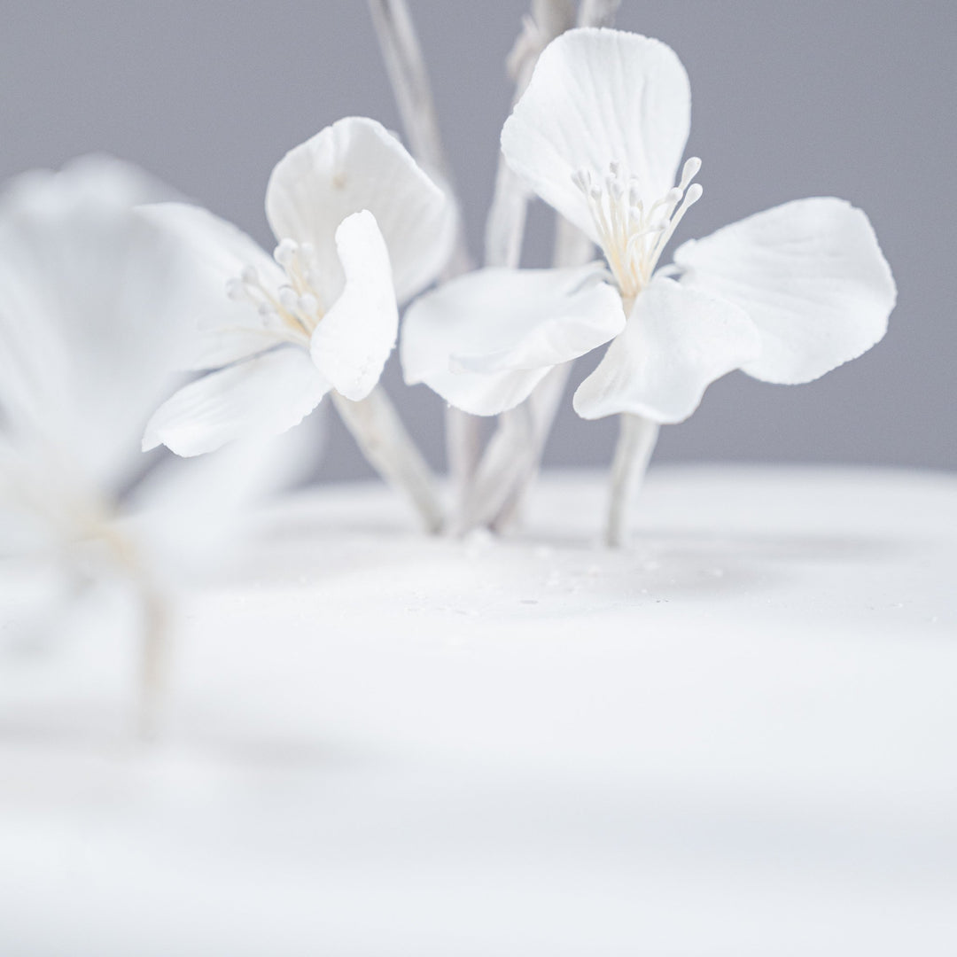 The Soiree (Vegan & Eggless)