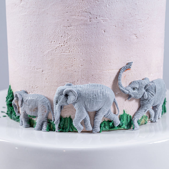 Elephant Family