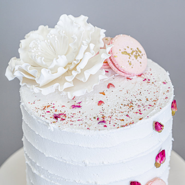 The Sweet Bliss (Vegan & Eggless)