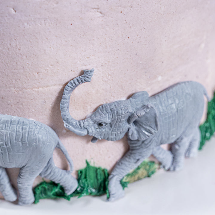 Elephant Family