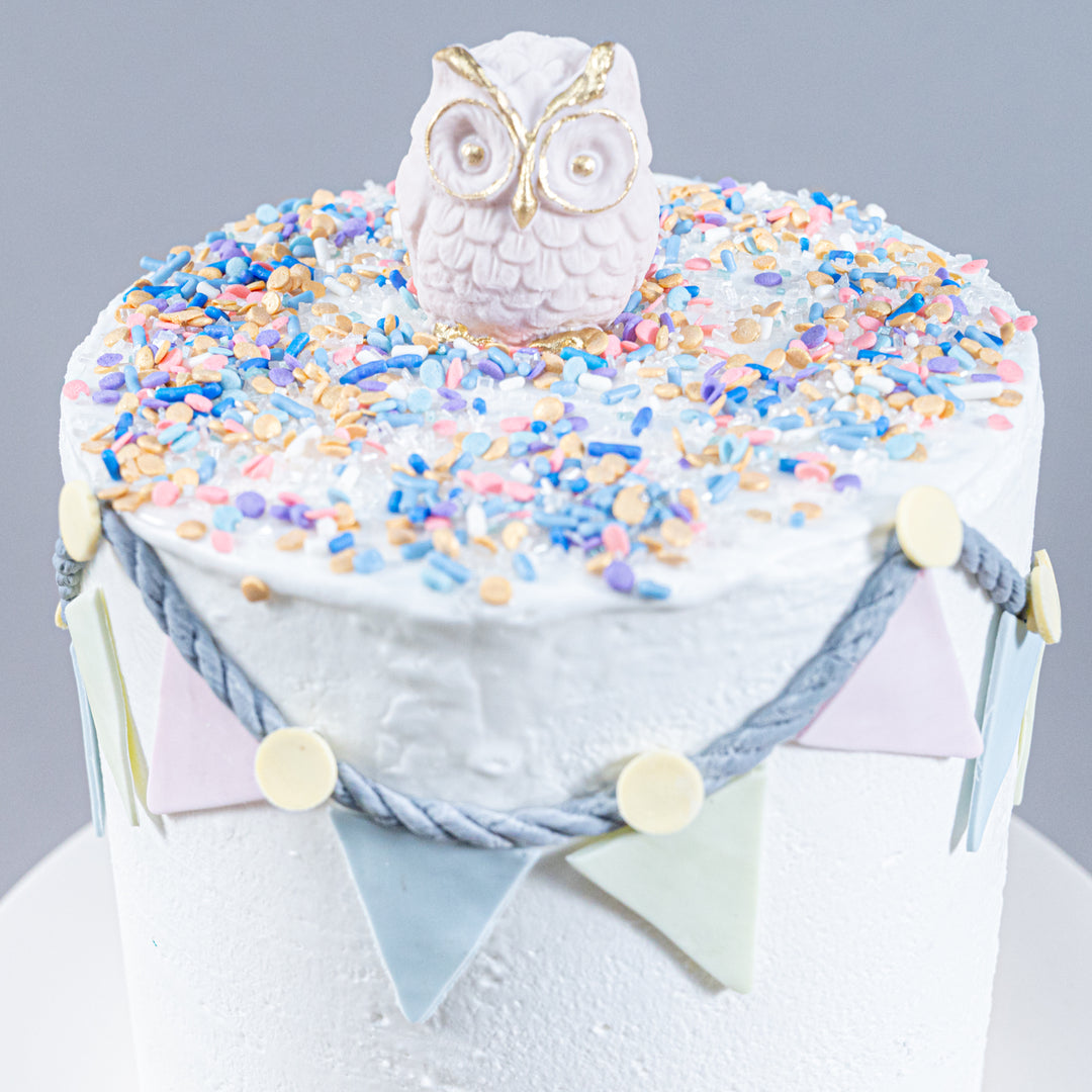 Hoot Hoot Hooray! (Vegan & Eggless)