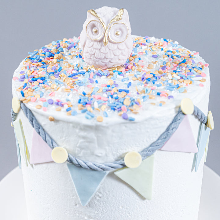 Hoot Hoot Hooray! (Vegan & Eggless)