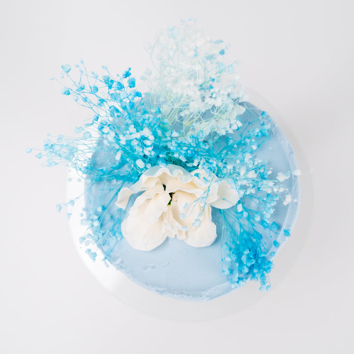 The Blue Cloud