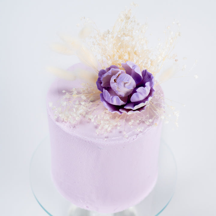 The Lilac Cloud