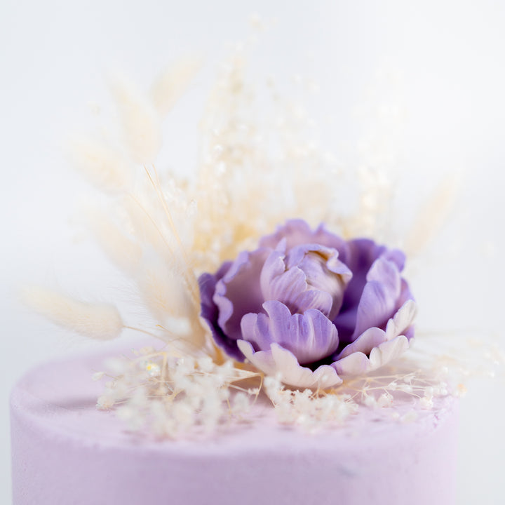 The Lilac Cloud